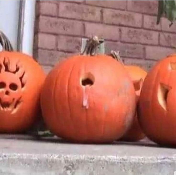 itsallwhitney's tweet photo. damn hendrick y u do this to the pumpkin https://t.co/kDhU9y3LDJ