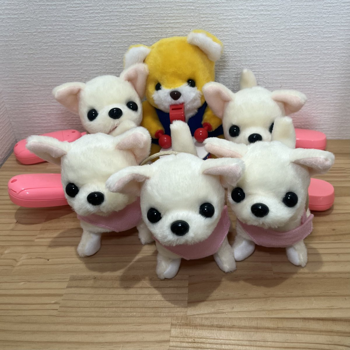 Iwayacorp1923's tweet photo. こんやはこのコたちと
ここからみてます

おやすみなさい
またあしたね https://t.co/XMpakq5J8K