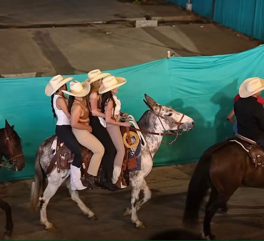 PlataformaALTO's tweet photo. Indignante. Cuatro mujeres fueron captadas montando sobre un pobre burrito en medio de la cabalgata de San Roque, Antioquia.

El burrito avanzaba a paso lento mientras permanecían sobre él.  
Ellos no son juguetes, ni objetos para llamar la atención. Son seres que merecen cuidado y consideración por su salud.
Pedimos a la administración municipal que nos informe sobre el estado de salud del burrito y sobre las sanciones contra las responsables