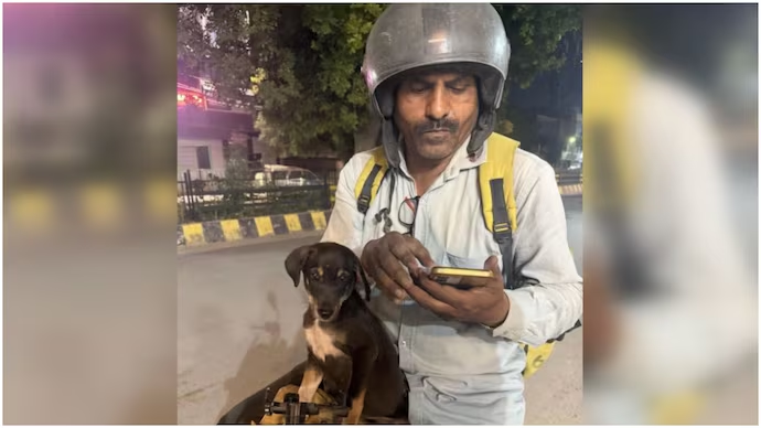 IndiaToday's tweet photo. Blinkit rider arrives with a puppy, customer learns the sweetest story behind it

A #Blinkit delivery partner has found an unlikely companion for his delivery runs after rescuing a puppy that was seriously injured in a road accident. The puppy, now cared for by delivery riders at a local warehouse, has even started accompanying them on deliveries.

Read More: https://t.co/piGFPvqvQl