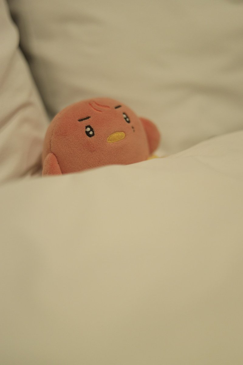 YreumH's tweet photo. 휴가칭구 https://t.co/H0CuBFGDHx