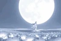 Lady_Columbina's tweet photo. ˚·.𓍢ִ໋🪷͙֒ #promotwt #moothunt .·˚

                𑣲 Luna ˚.⋆
   𓐇ᘡ。She / her ⭒ֺ  ֹ ᮫   ˗ˏˋ 19 ˎˊ˗
          ꣑ৎ⋆ ࣪. isfp┆ar ⋮ eng 

✮⇢I play genshin only
✮⇢Ar60 EU
✮⇢favs: kinich ๑ Dain ๑ Mavuika ๑ bina

➺♡+↻ appreciated𓂃 𓈒 𓏸Ifb >ᴗ<

#genshintwt #hoyotwt https://t.co/cjB5b7hKL1