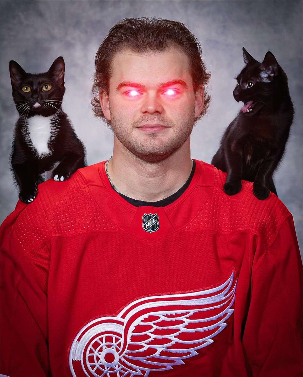 ColdStoneGaming's tweet photo. @DetroitRedWings https://t.co/XxWQH5n7G2
