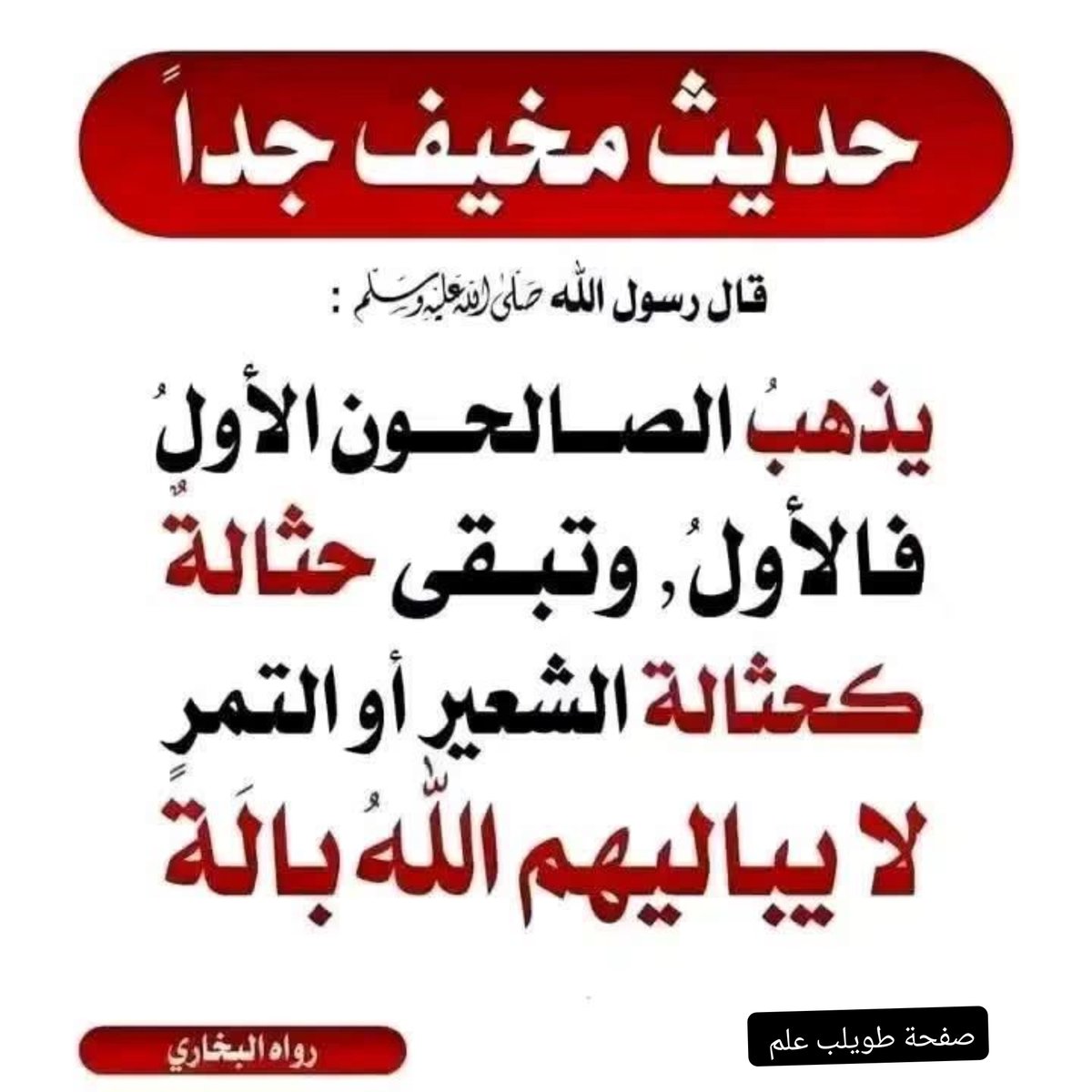 m_7d_7 tweet picture