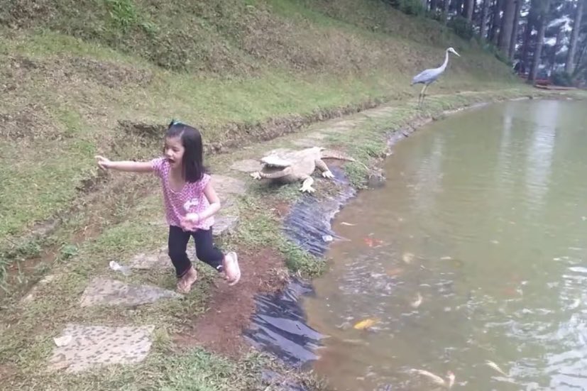 lkjhgfdsagl's tweet photo. yawaaaa chog salbahin mo nga kami dito https://t.co/s6lAbTzNVG
