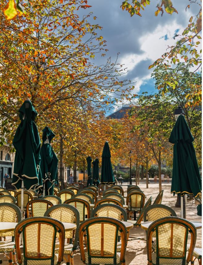 VIParis tweet picture