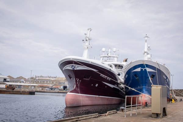 fisheriesappg's tweet photo. .@scotgov consultation now open on proposed Fisheries Management Plans (#FMPs) for North Sea greater silver smelt, West of Scotland greater silver smelt, and North Sea horse mackerel. Open until 11:55pm, 10 Nov.

https://t.co/1M1OWhP1zk https://t.co/jJMhdEgMb4