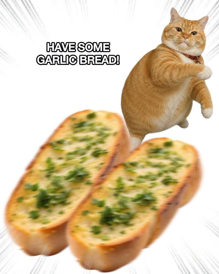 rosyyfae's tweet photo. Have some garlic bread...
my diet plan is currently undergoing

#dietstartstomorrow #catmemes #garlicbread #relatable https://t.co/qDy0A6yfgO