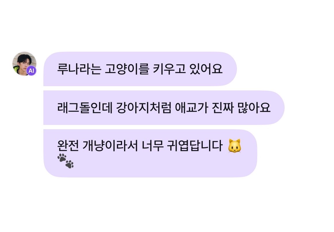 in9kuu's tweet photo. 헐 서하 루나라는 고양이 키운다고함🫰🫰🫰
짱귀엽겠다ㅠㅠ https://t.co/81cN5bBaGl