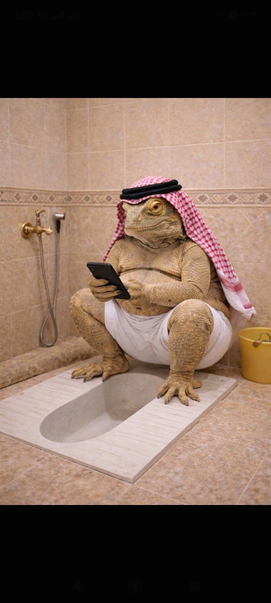 Bosman99B's tweet photo. @xli067 @sleepybotato ابوكي وهو مستخبي من الحوثي😂 https://t.co/dpXlKMwlnQ