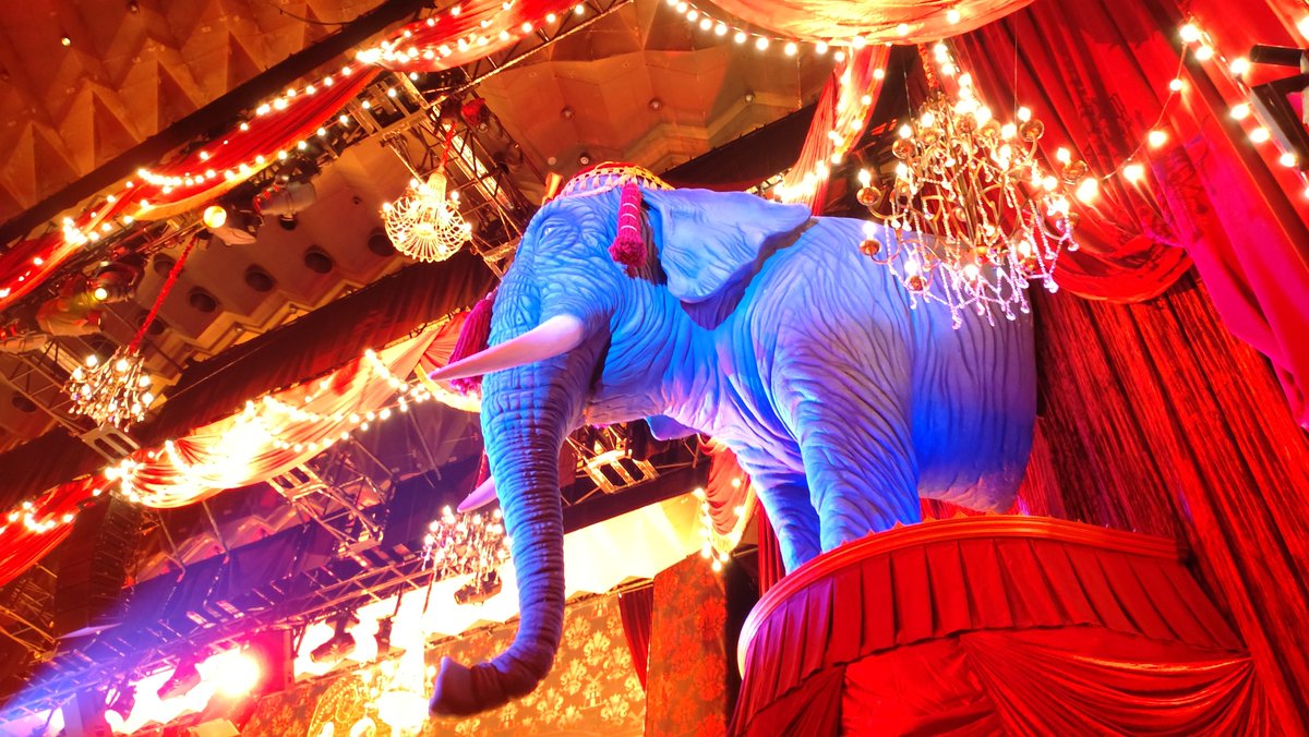 kichakichaaa's tweet photo. また🐘に会えるね https://t.co/VJ9MKLUcsI