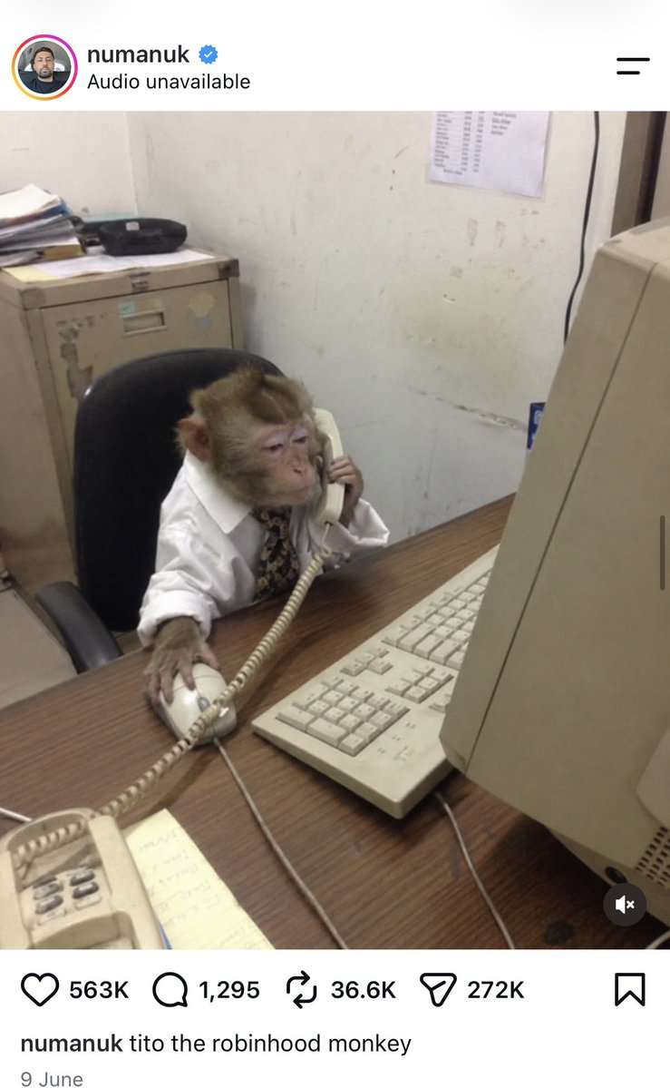 TitoMonkeyRH's tweet photo. It’s time to give $TITO the exposure he deserves 

As you know we onboarded his owner previously on robinhood as you can see in our tweets , he even put Tito in his insta bio!

We will redirect fees to his SOL wallet 

Now $TITO launches on @Pumpfun paired with $HOOD!

Monkey Business!

https://t.co/VUzuiGfYxz