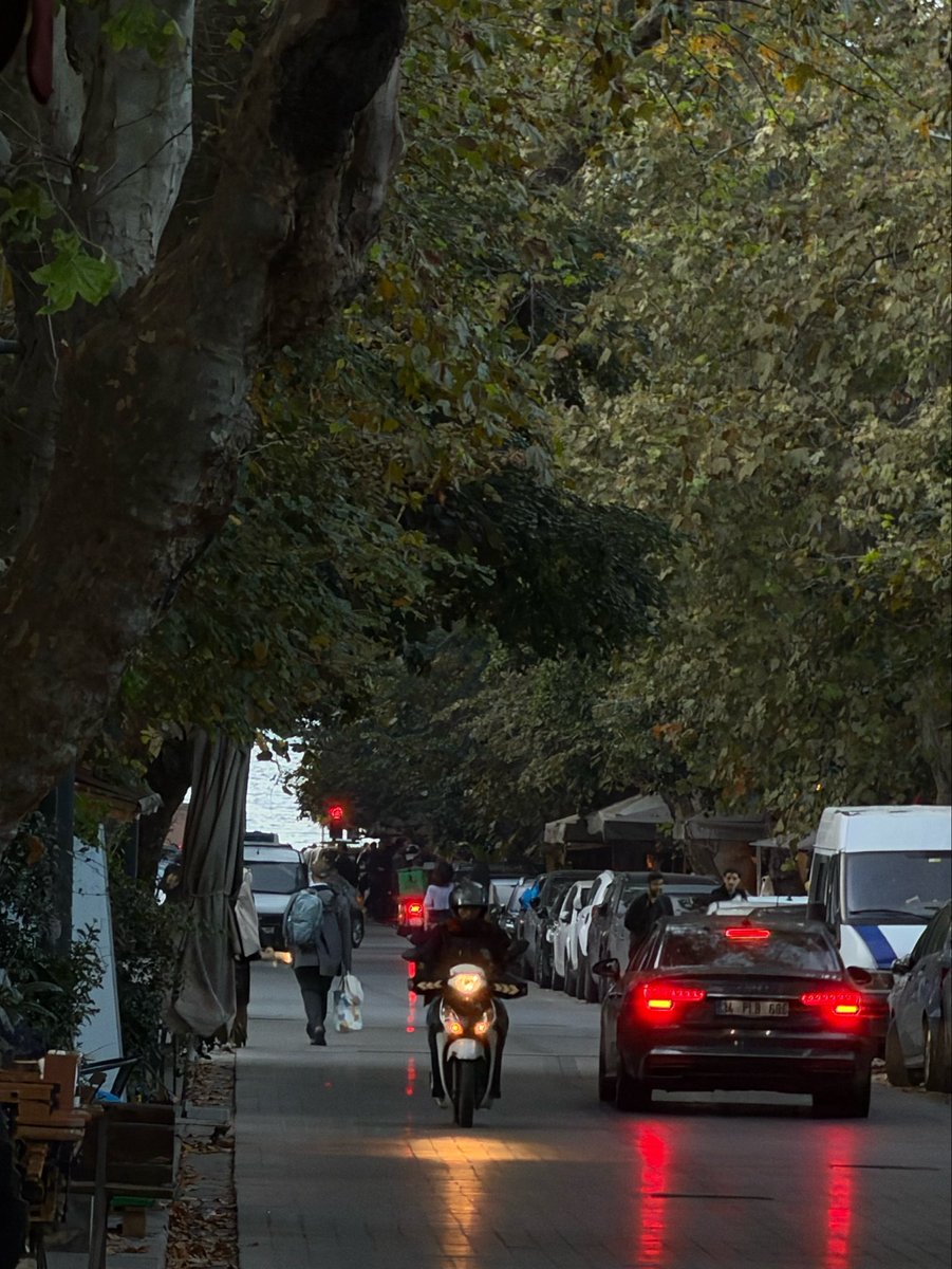 makbuleyyl's tweet photo. ağaçlı yollar https://t.co/R1cSc1xkVc