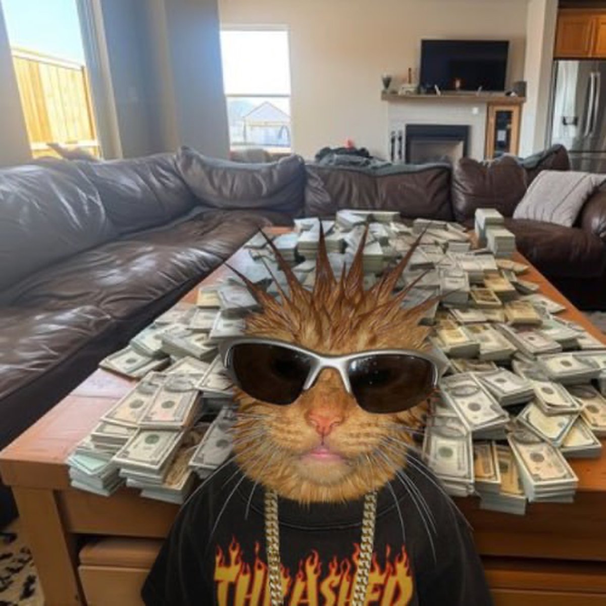 PunkCatSolana's tweet photo. Early $PUNK buyers very soon https://t.co/81ExF5Cq5c