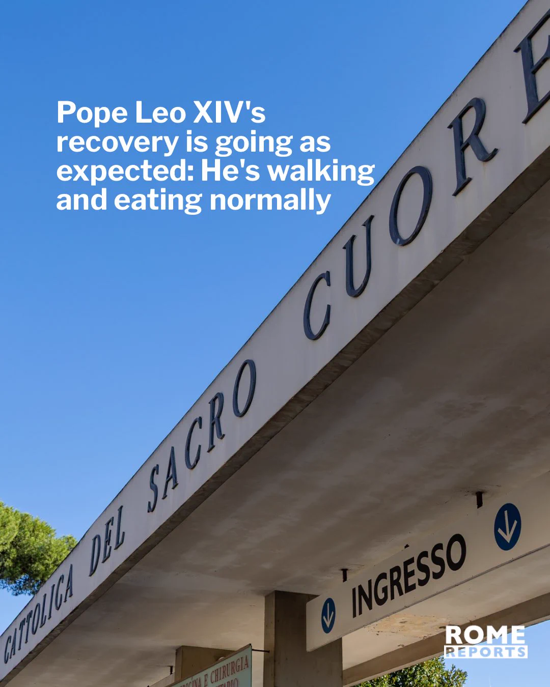 ROME REPORTS on X: 