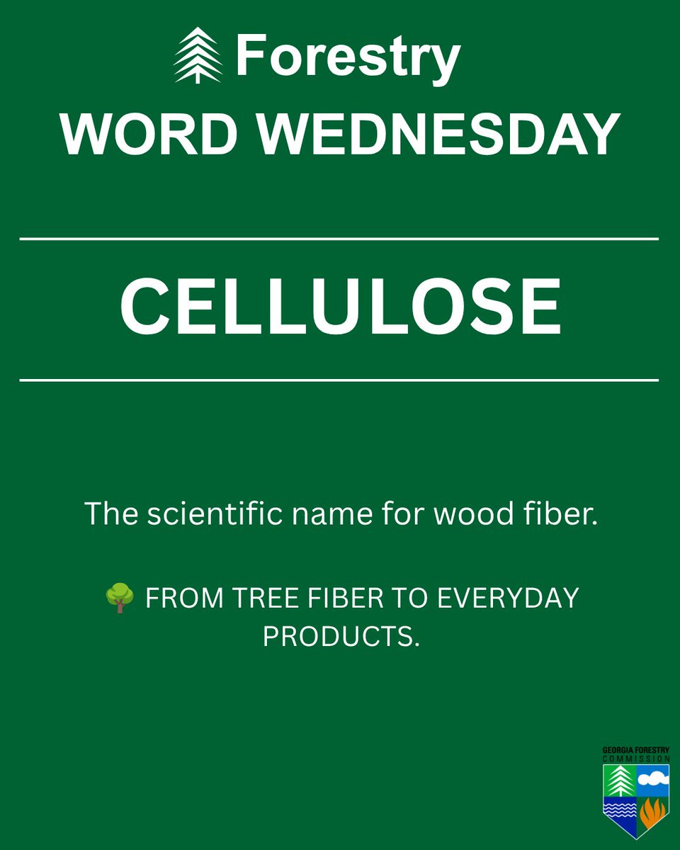 GaTrees's tweet photo. 🌲📖 #ForestryWordWednesday: CELLULOSE

You've probably already used it today.

Cellulose is the scientific name for wood fiber—a structural component of trees that can become paper, cardboard and other products we use every day. 🌲➡️📦

#GeorgiaForestry #ForestProducts https://t.co/qRII8O1ISQ