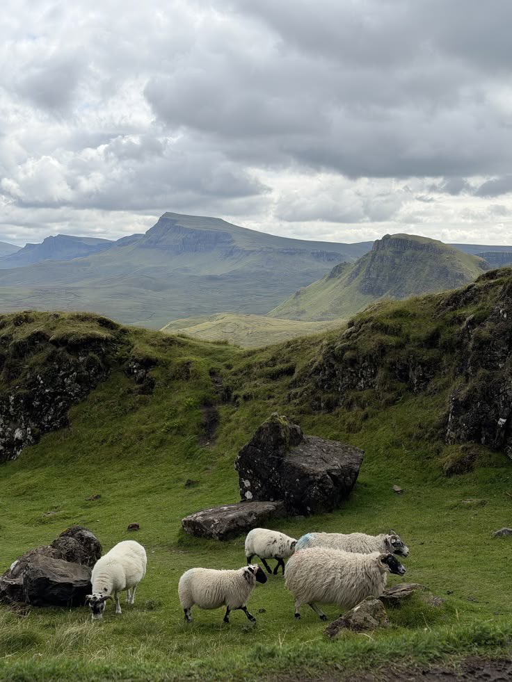 reminiscinbby's tweet photo. Scotland https://t.co/d4Clvv3yS4