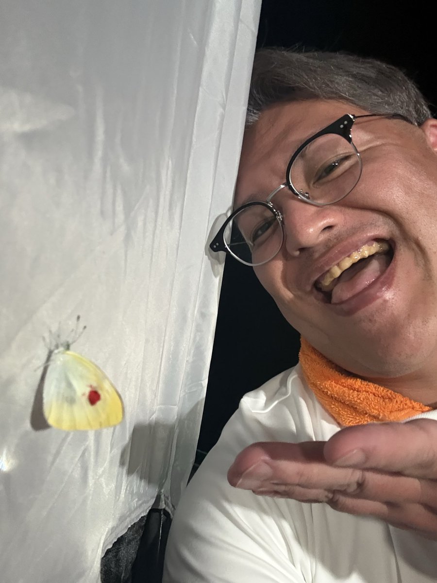 babylonchiba's tweet photo. ローランド安らかに眠ってね。
お父さんはローランドとモンローを一生忘れないよ。
本当に素敵な時間をありがとう！！
大好きだよ！！

#水曜日のダウンタウン
#水ダウ
#パピヨン
#パピヨン千葉 https://t.co/ibgv6Hvb7W