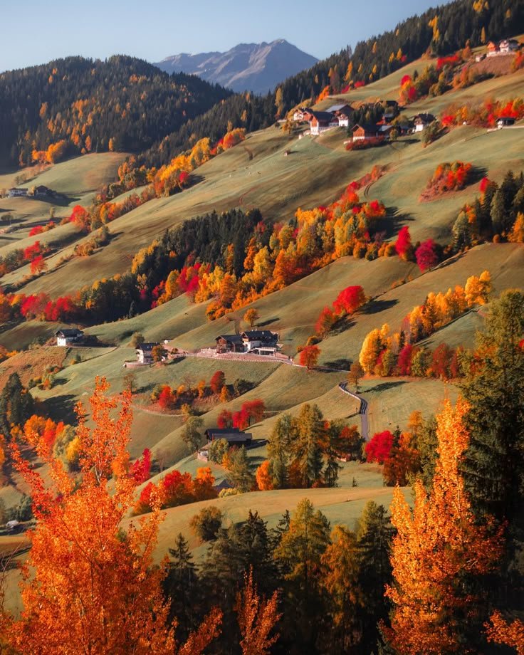 echoesofworld's tweet photo. autumn in alps https://t.co/oGtN0JRdby