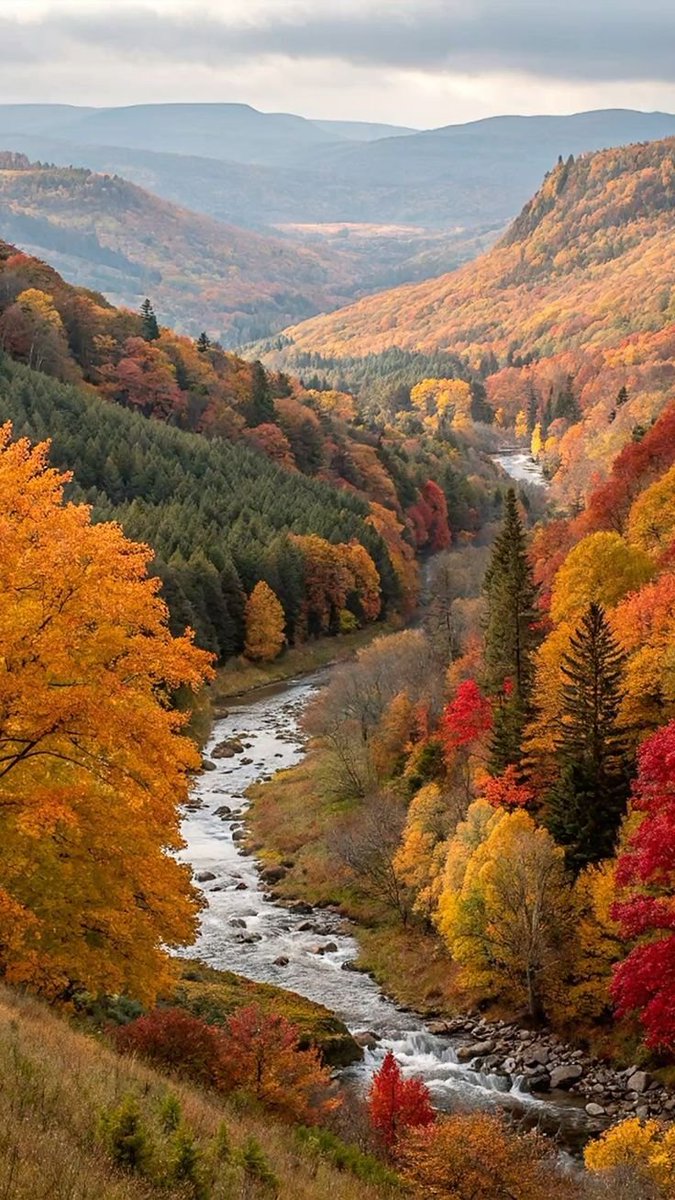 echoesofworld's tweet photo. autumn in alps https://t.co/oGtN0JRdby