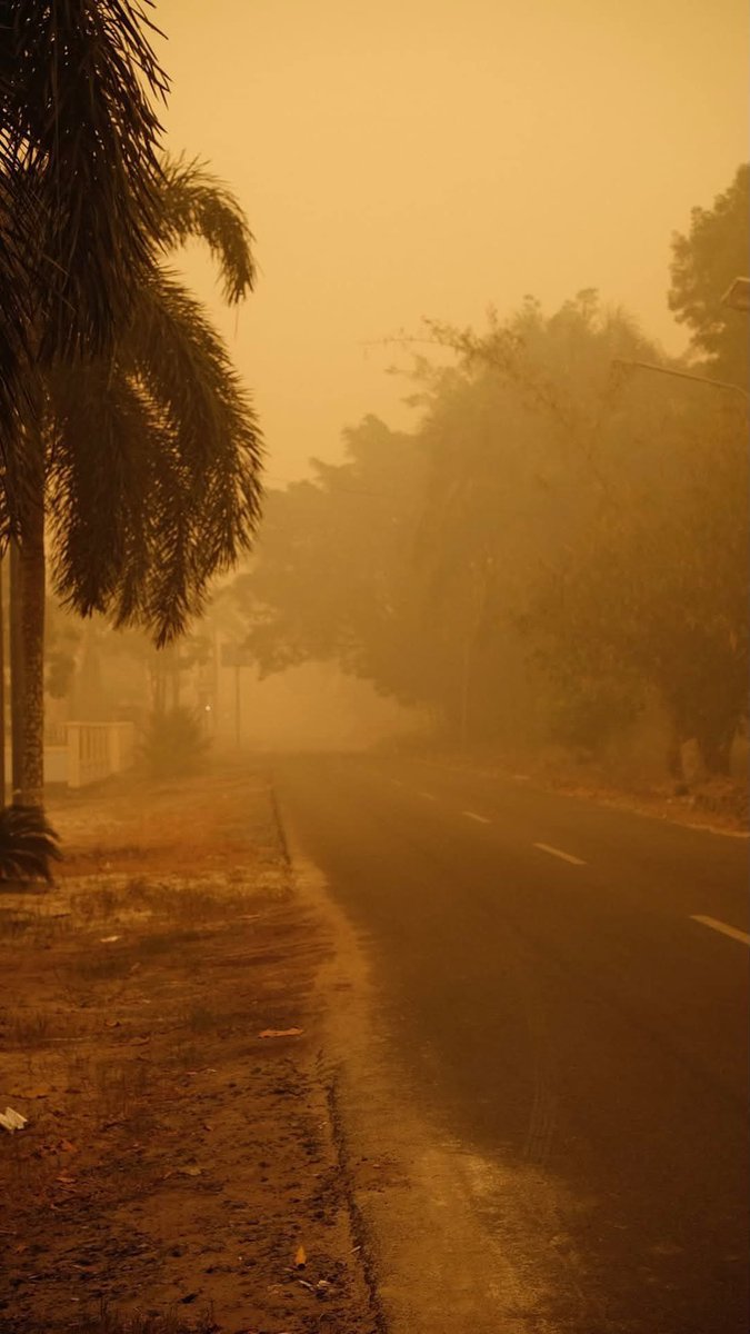sosmedkeras's tweet photo. Seluruh dunia harus tahu.
⠀⠀⠀⠀⠀⠀⠀⠀⠀
13-14 Oktober 2026, situasi yang berlaku di Palangka Raya, Kalimantan Indonesia. https://t.co/XjEnWmgEIZ