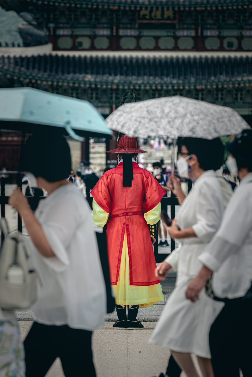 khorseracing's tweet photo. @Rimi_07i 경복궁을 가면 꼭 찍게 되는 그 장면이네요!
한동안 경복궁 출사에 빠져 있었을 때, 자주 촬영했던 기억이 납니다.
특히 저는 '대고삼타'가 너무 좋더라고, 그 공간 자체를 휘어 잡는 느낌...
알고리즘으로 이 게시글 본 김에 언제 한 번 다녀와야겠습니다. https://t.co/ReM34dCKuB