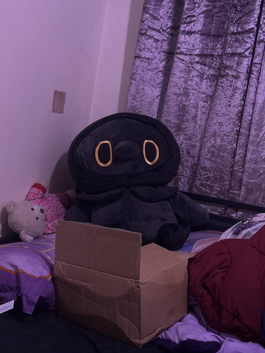 StarShines_101's tweet photo. got a big crow plushie monday and i named him charlie https://t.co/0iA7pjOzeK