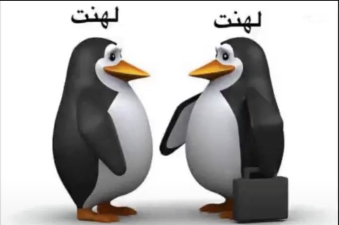 b52_n11's tweet photo. اعزز للحسابات الصفريه وانا زيهم https://t.co/NqbNDGrEDe