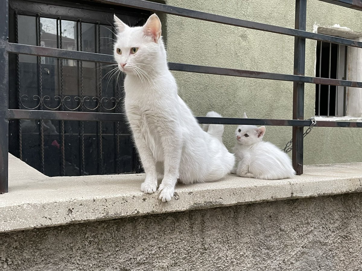 sseenyy's tweet photo. analı kızlı https://t.co/2vMNbwsT5F