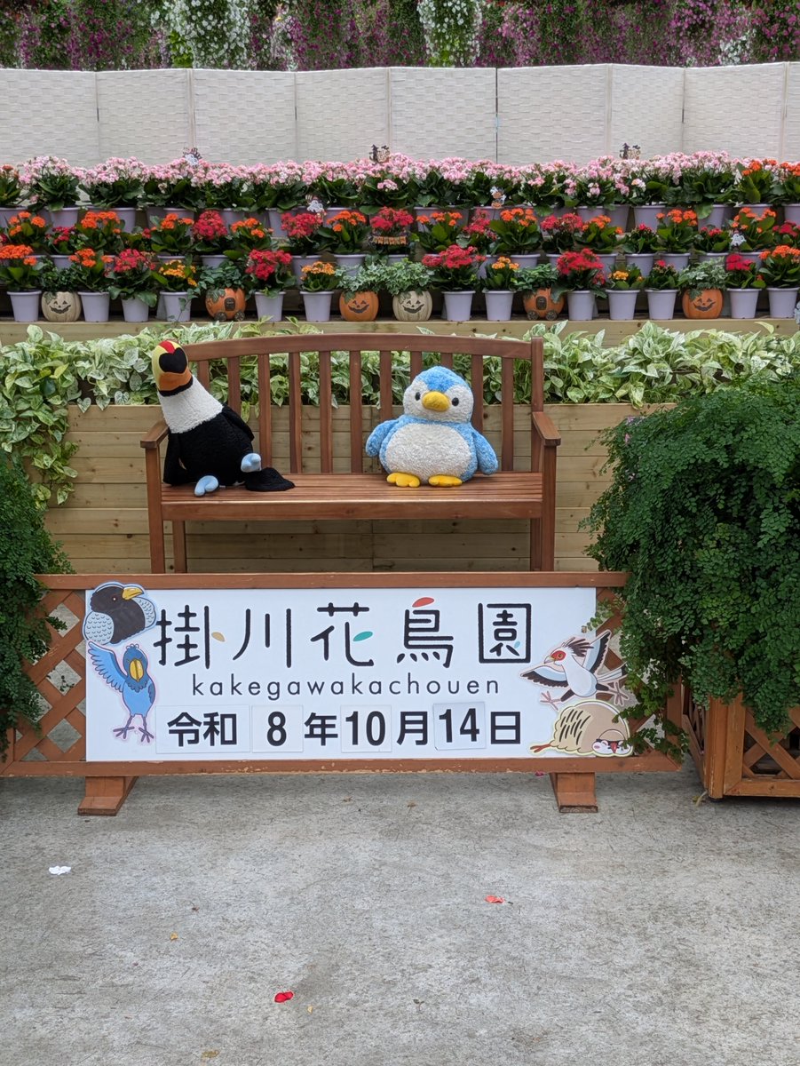 60Reia's tweet photo. 今日もペンギン
掛川花鳥園 https://t.co/r8nL27ZuQ8