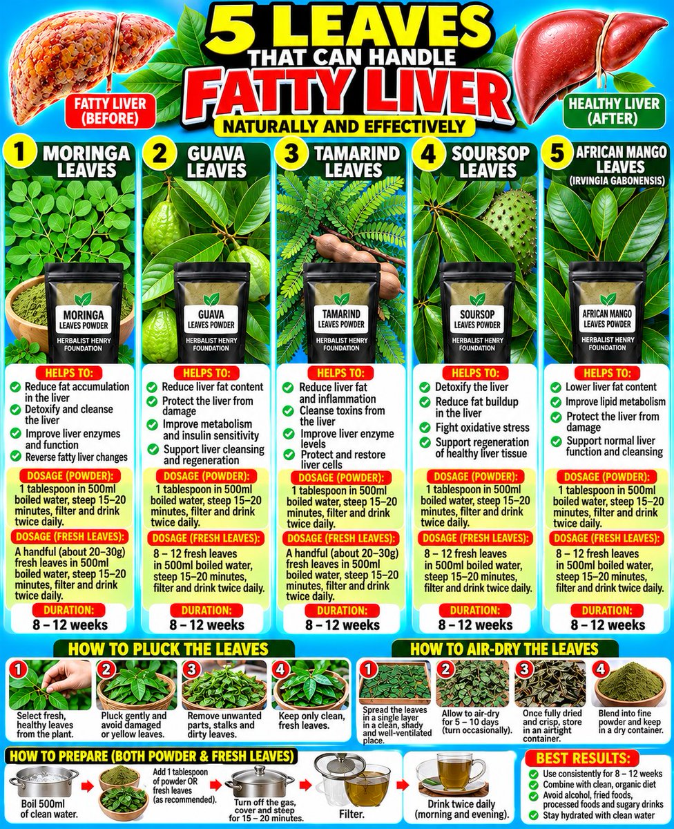 HerbalistHenry_'s tweet photo. 10 Symptoms of FATTY LIVER  and 10 Plants that can help treat and eradicate the condition.. 

Share to someone to enlighten them, don't ignore the signs.. https://t.co/a20ZgQY9ZS