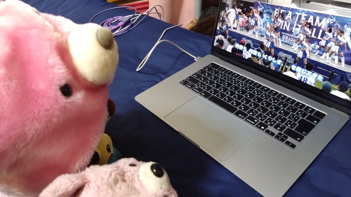 ayakafusion's tweet photo. CSファイナル初戦2-0でベイスターズ勝利‼️🐻✨
試合が終わったあと、おうちでdianaステージ動画を鑑賞してるみんな🐻⚡🐻
明日も絶対勝つぞ‼️ベイスターズ
https://t.co/49qTFQoHuU
#ベイスターズファンと繋がりたい #ぬいぐるみ好きさんと繋がりたい #ぬい活 #diana https://t.co/yMHfbW5w6p