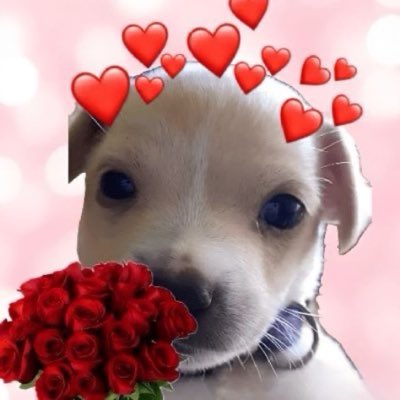 ownsiy tweet picture