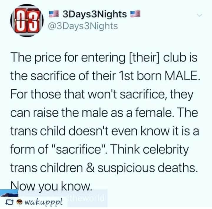SirenPatriot's tweet photo. I often wonder if these fallen angel caananite baphomet hybrid inverts realize how ridiculous they look. 

If you put lipstick on a pig enough times...it's still a homely pig. https://t.co/62DzQkP7pF