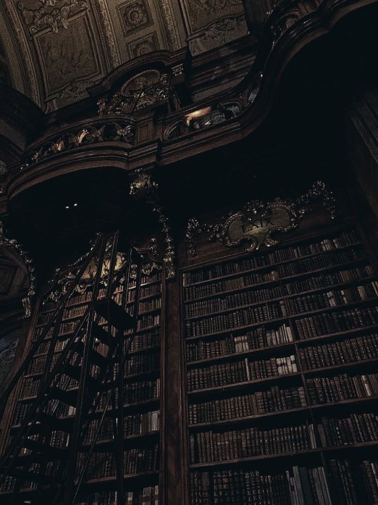 thespookygirll's tweet photo. just leave me here https://t.co/p2AkV584U1
