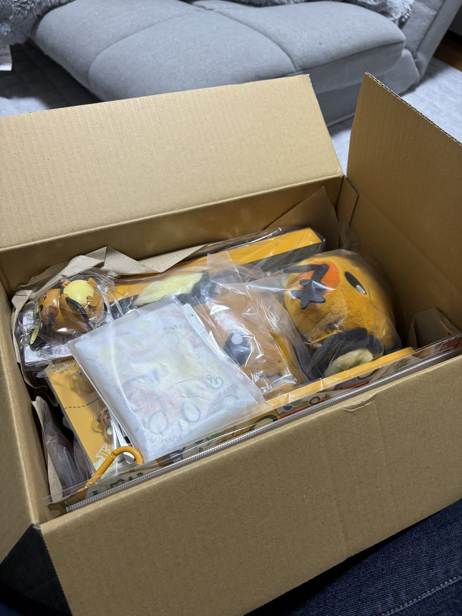 nyanmaru_cat2's tweet photo. デデンネのグッズやっと自分が買った分とお母さんが買ってくれてた分届いた〜
お母さんが端数合わせに茶碗買った言ってたけどデデンネと言うだけで実用性考えてなくて笑える https://t.co/DXDWShqD9X