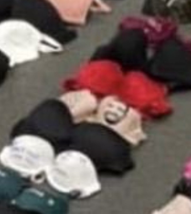 EternalWinCharm's tweet photo. @moeszn WAIT… IS THAT A DRAKE FACE PRINTED BRA?! 😭💀 https://t.co/68tVaSgmMR