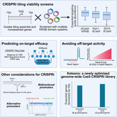 CellGenomics's tweet photo. Optimized parameters for CRISPR-Cas9 interference library design dlvr.​it/TVvycs https://t.co/jDTi3G9y90