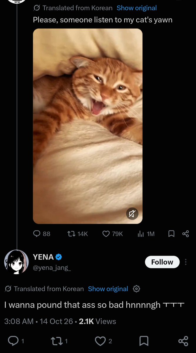 vamperz_'s tweet photo. Why does grok keep turning Koreans into perverts https://t.co/Akovhz5884