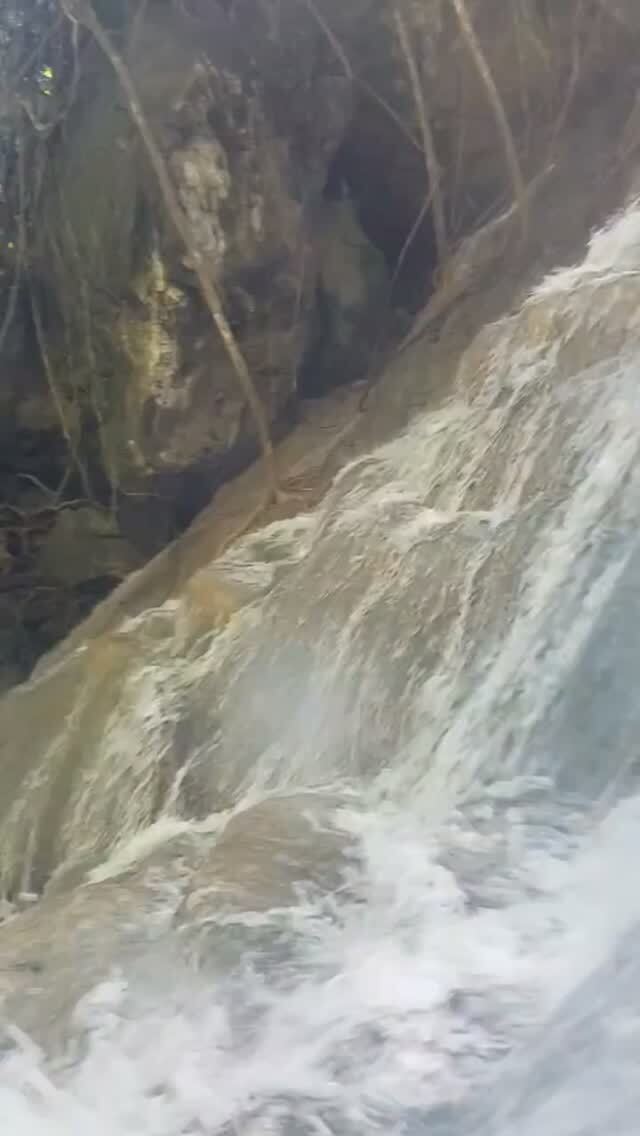 wanderonomy's tweet photo. Mojo Island Waterfall awaits you after a 30min hike through the forest.

#Waterfall #hiking #Indonesia https://t.co/VLJhLri3yQ https://t.co/oJny0G9uhb