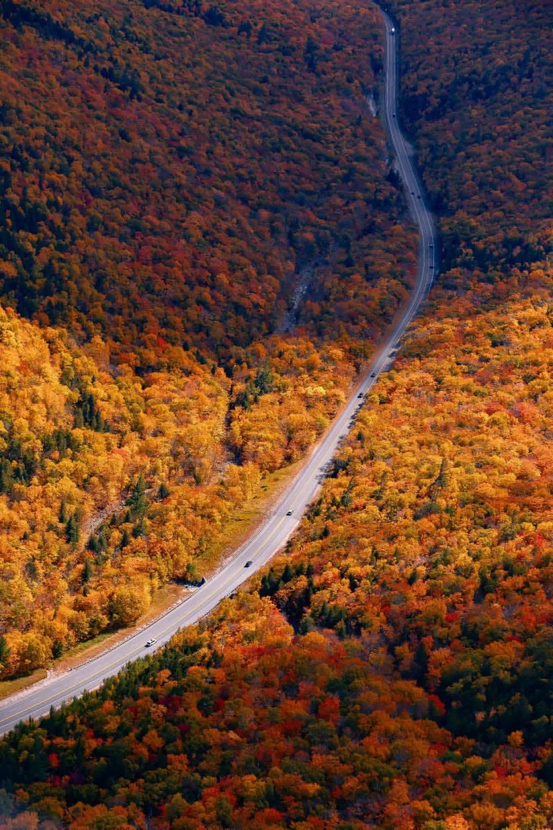 naturebeauty760's tweet photo. Fall foliage in New Hampshire 🍁 ⛰️ https://t.co/Ve4NPjNvFZ