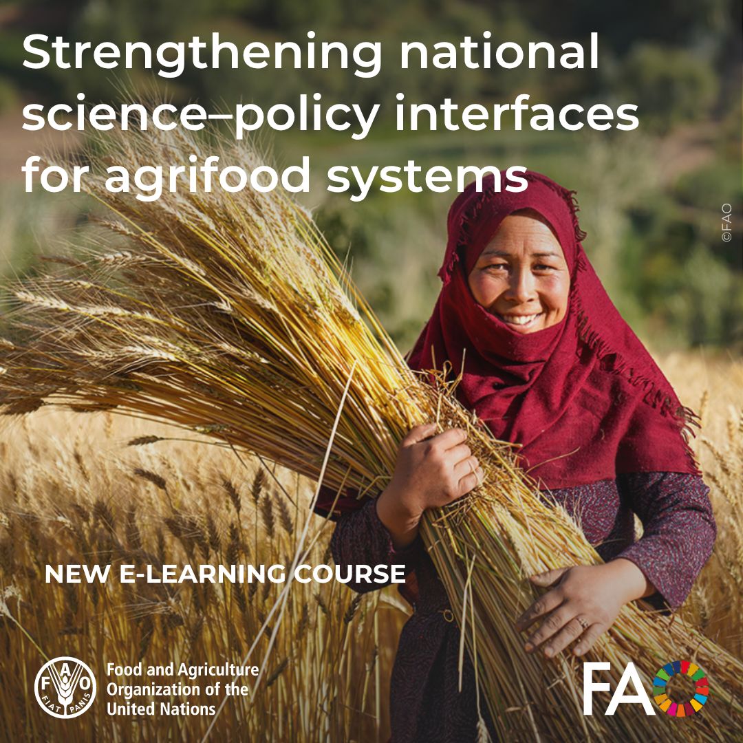 FAOScienceChief's tweet photo. Launched at #SIF2026: a certified course — Strengthening national science-policy interfaces for agrifood systems. 

By @FAO Chief Scientist Office &amp; FAO eLearning Academy with @CIRAD. 

👉️ Take the course: https://t.co/S2H4YCyoTw https://t.co/NIzjQQFHqO