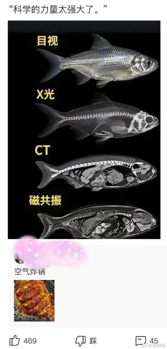 KMS_PzEUGIN_III's tweet photo. 科学真的太强大了 https://t.co/Er5UVpFJdQ