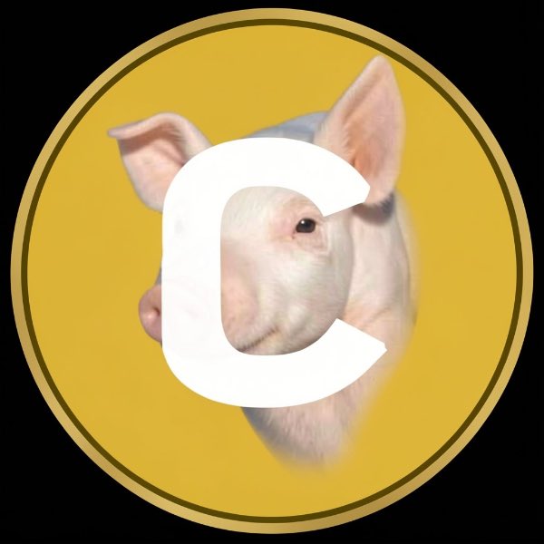 Fruli_sol's tweet photo. solana:DTBkv3GrfmUGtBHy5guQm2FmbYuWgtaDkW7XfJokpump is 4chan coin #1 rn. Normie friendly as well. We’ve seen what coin like that have done in the past (Cate, Pepe, Fart). This could become a new cult on Solana i’m tailing!

DTBkv3GrfmUGtBHy5guQm2FmbYuWgtaDkW7XfJokpump https://t.co/xqOdMkEj5i