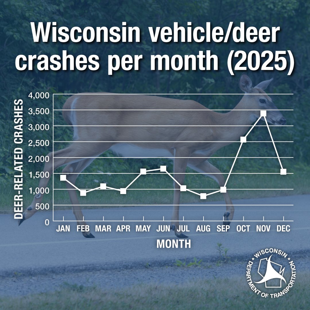 WisconsinDOT's tweet photo. DYK? There were nearly 18,000 deer/vehicle crashes last year, and nearly 6,000 of those took place in October and November. Deer are especially dangerous for motorcyclists – there is about a 37% chance that a motorcycle/deer crash will result in a fatality or serious injury. https://t.co/CR7X3EVwdF
