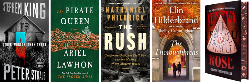 StorrsLibrary's tweet photo. This week the Richard Salter Storrs Library has 41 new books.  New items include Other Worlds Than These, The Pirate Queen, The Rush, The Thoroughbreds, Sometimes I Scare Myself, Situated, What to Cook When You DonÆt Feel Like Cooking, and Switzy. https://t.co/CAmjsIZTUB https://t.co/c24gMd7cvQ