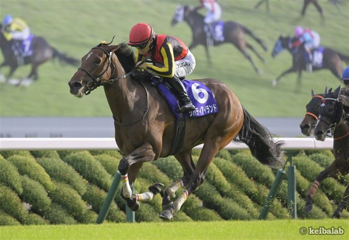 keibalab's tweet photo. 【お嬢さんが三冠牝馬になった日】
2023年10月15日、秋華賞。勝ったのは二冠牝馬リバティアイランド。"お嬢さん"が相棒・川田将雅騎手の誕生日に牝馬三冠を達成してから今日でちょうど3年です。
#リバティアイランド #川田将雅 #秋華賞
https://t.co/UaNBGTZY0e https://t.co/5utI8hhW5n