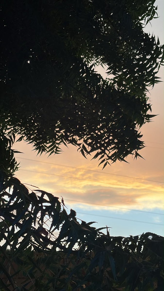 u1f1q's tweet photo. منظر السماء عبارة عن لوحة فنّية !🌅 https://t.co/FJSNoZiiHV