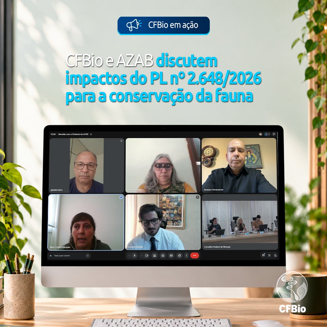 CFBio's tweet photo. O CFBio e a AZAB discutiram os possíveis impactos do PL nº 2.648/2026 para a conservação da fauna, a pesquisa científica, a educação ambiental e o manejo animal. As instituições atuarão conjuntamente no acompanhamento da proposta.

Leia a matéria completa no site do CFBio: https://t.co/iv3XbEnppz