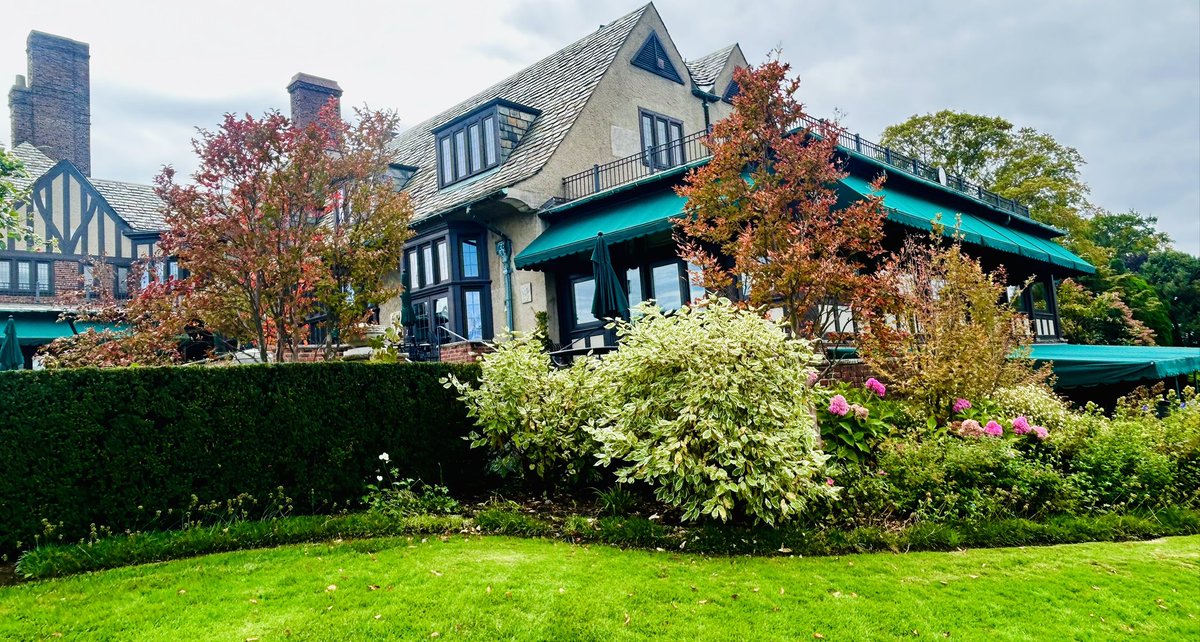 fleur_de_CCD's tweet photo. A stunning fall color tree for a patio….Japanese Stewartia in all its glory.  It has stunning bark and bright white Camellia like flowers in July. https://t.co/83qhPg9sqr